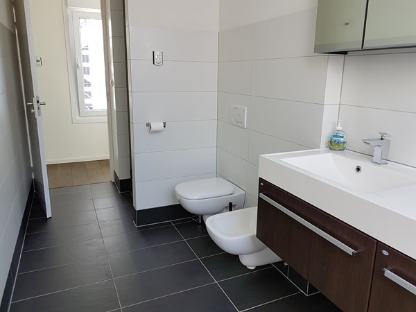 Medium property photo - Pluimerstraat 13, 9711 SV Groningen